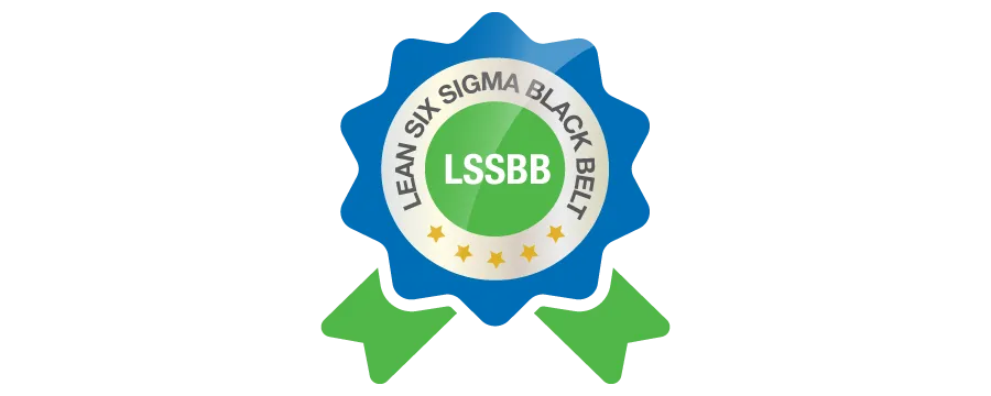 Lean Six Sigma Black Belt (LSSBB) Certification